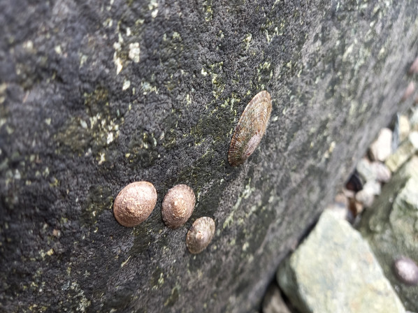 옆에서 본 모습